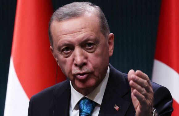 Erdogan clears Finland to join NATO in Turkey vote