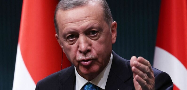 Erdogan clears Finland to join NATO in Turkey vote