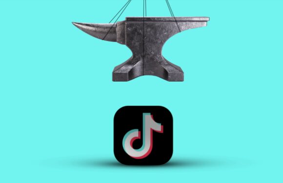 Exclusive: Senator pushes TikTok government-device ban enforcement