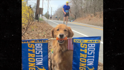Famous Boston Marathon Dog, Spencer, Dies At 13 After Battling Cancer
