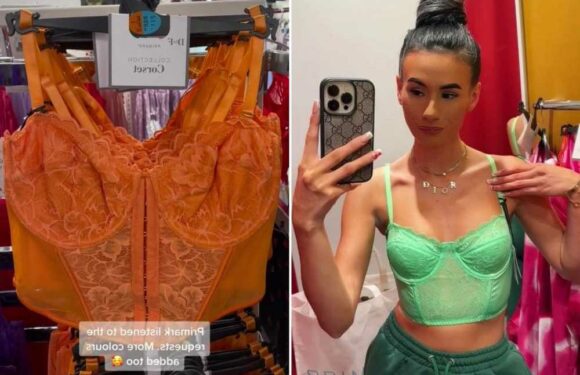 Fashion fans rejoice as Primark introduces new colours in their corsets & they've started catering for bigger boobs too | The Sun