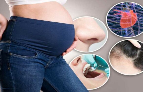 From a swollen nose to a bigger heart – 5 weird pregnancy body changes | The Sun