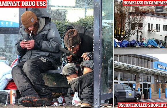 Frustrated Portland residents bemoan city's descent into a lawlessness