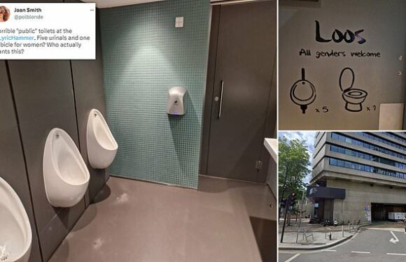 Furious customers blast theatre over 'all gender' toilets