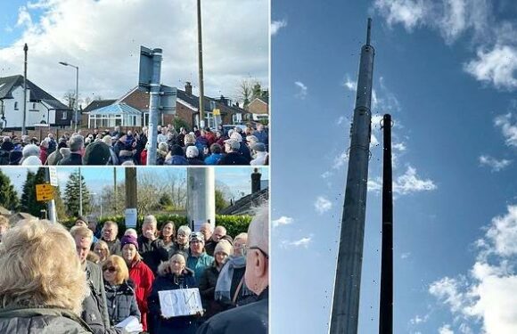 Furious residents protest against 'horrific' 50ft broadband mast