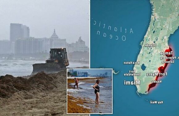 Gigantic 5,000-mile blanket of rotting seaweed can be seen from space