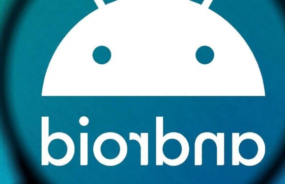 Google unveils hidden info about your next Android