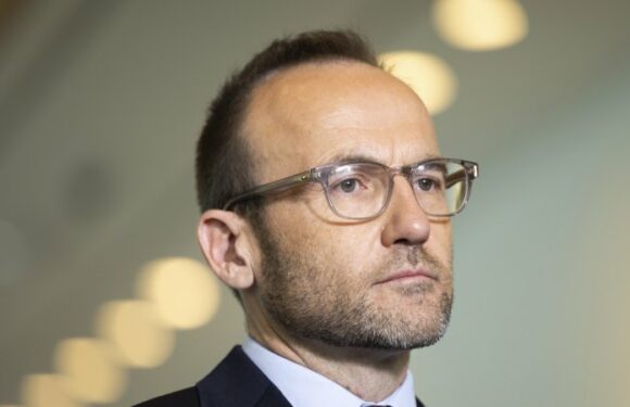 Greens back safeguard mechanism: Bandt announces deal with Bowen