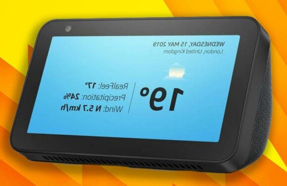 Hidden Echo energy-saving tip smart speaker users should know