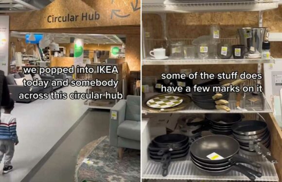 Homeware fans run to IKEA to visit the new 'Circular Hub', where you can nab a bargain on discontinued items or returns | The Sun