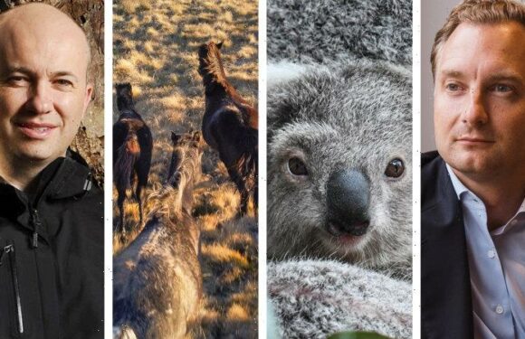 How the NSW government acted for climate at the expense of the environment