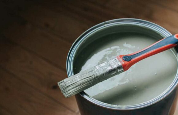 How to safely dispose of paint in the UK | The Sun