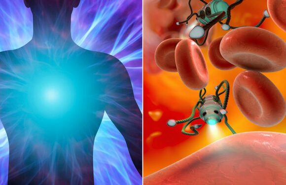 Humanity is just seven years away from immortality, claims ex-Google boff