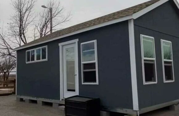 I bought a shed for £11k & turned it into a tiny home – people say it's gorgeous & the best conversion they've ever seen | The Sun