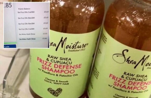 I cleared the shelves in Boots when I saw cut-price shampoo and conditioner… but trolls say I was robbed | The Sun