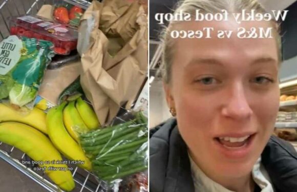 I compared a shop at M&S and Tesco to see if it’s as reasonable as everyone says, I didn’t expect the results at all | The Sun
