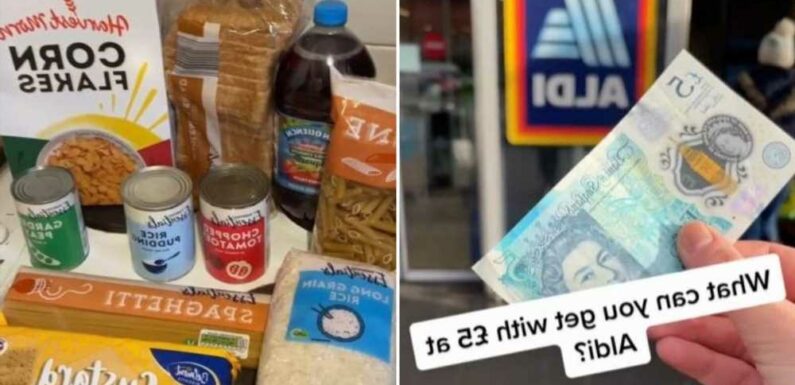 I did a weekly shop at Aldi for just £5 – here’s everything I got | The Sun
