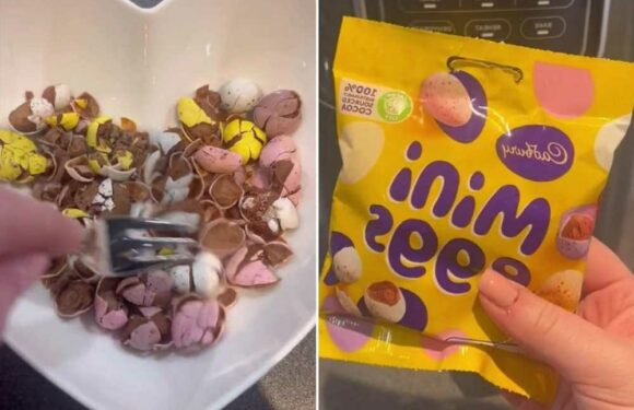 I didn't think my favourite Easter snacks could get any tastier… then I put them in my Air Fryer and they blew my mind | The Sun