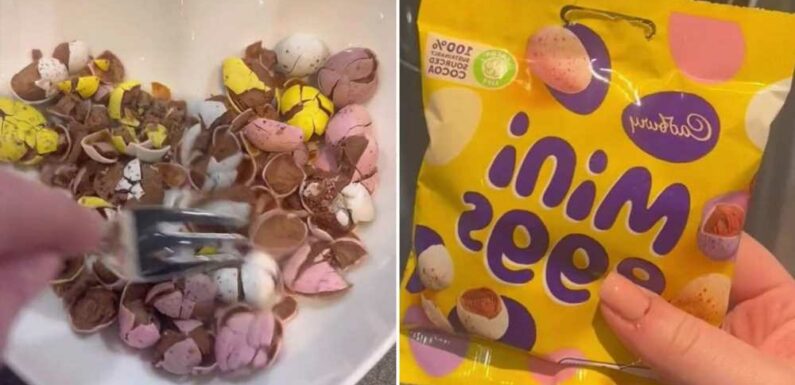 I didn't think my favourite Easter snacks could get any tastier… then I put them in my Air Fryer and they blew my mind | The Sun