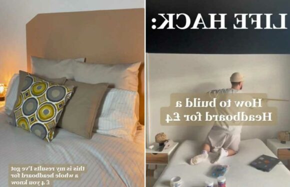 I gave my bedroom an amazing glow up from B&Q for just £4 – it’s really divided opinion, I don’t care it looks great | The Sun