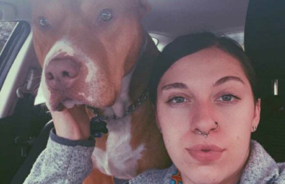 I had my nose RIPPED OFF by my dad's 100lb pitbull cross – it dragged me around like a game of tug of war | The Sun