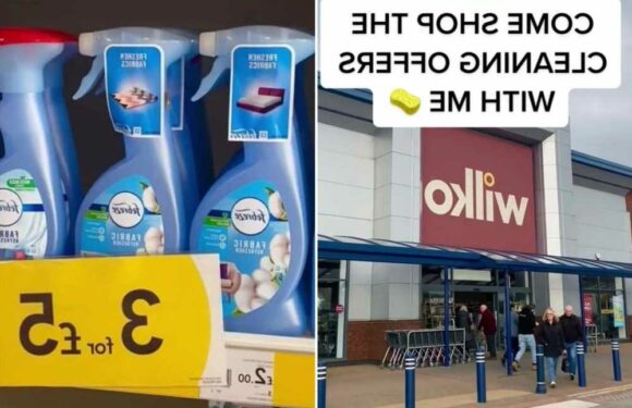 I hit Wilko for some cleaning products and nabbed loads of amazing deals – I wish I'd started shopping there sooner | The Sun