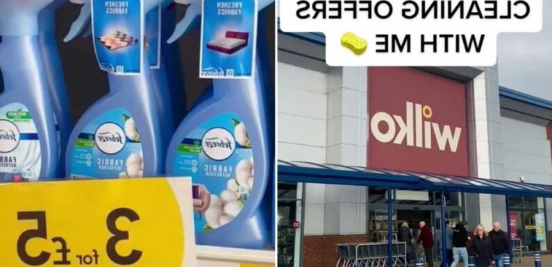 I hit Wilko for some cleaning products and nabbed loads of amazing deals – I wish I'd started shopping there sooner | The Sun