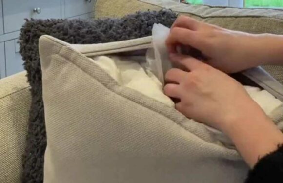 I love being house proud and have three clever tricks to make it smell amazing before guests arrive | The Sun