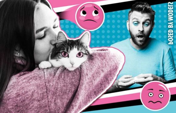 I love my boyfriend but he's allergic to fur – I can’t imagine a pet-free future | The Sun