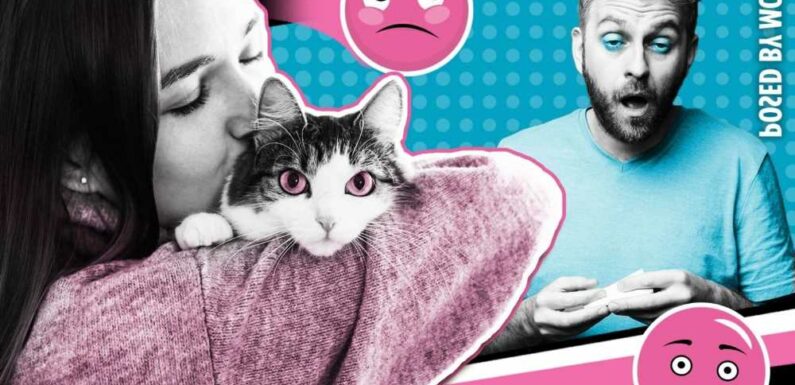 I love my boyfriend but he's allergic to fur – I can’t imagine a pet-free future | The Sun