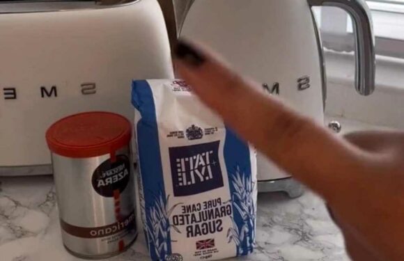 I made my council house kitchen look instantly more expensive with a B&M must-buy – and it was a total bargain too | The Sun