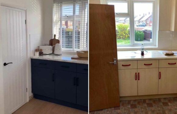 I made my council house look super posh with a budget kitchen makeover – it’s all thanks to Wilko and B&M bargains | The Sun