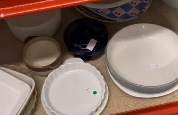 I spent 25p on a charity shop buy and it turned out to be worth hundreds – I had no idea until I googled it | The Sun