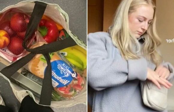 I spent £30 on an entire weekly shop at Sainsbury's – here's everything I bought and there are some treats too | The Sun