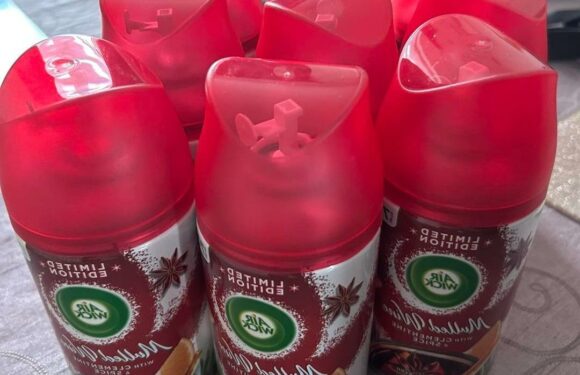 I spotted reduced air freshener in Tesco so cleared the shelf – now I can make it smell like Christmas all year round | The Sun
