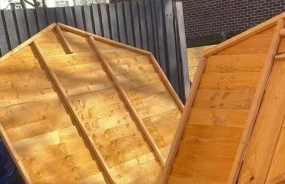 I transformed a tiny shed into a bedroom in my parents’ garden so I could get away from my family – it even has a TV | The Sun