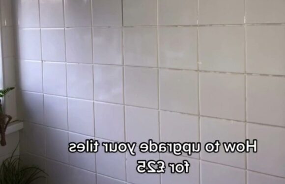 I transformed my council house bathroom for just £25 – it only took an hour and now it looks way more modern | The Sun