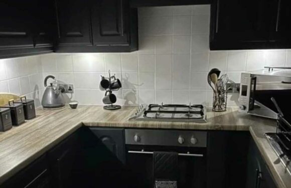 I transformed my kitchen in 48 hours using a B&M bargain buy and people say it's the best DIY job they've ever seen | The Sun