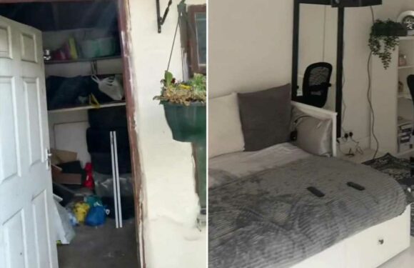 I transformed my rundown shed into an extra room with huge screen for movie nights… but there's a catch | The Sun