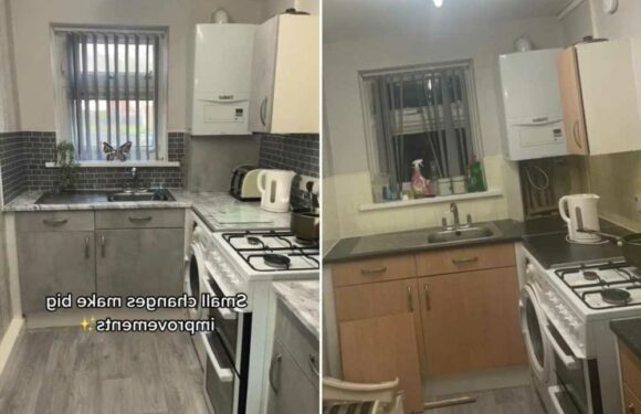 I upgraded my council house kitchen using B&M bargains to give it a new 'concrete' look – people say I shape shifted it | The Sun