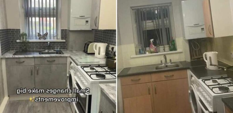 I upgraded my council house kitchen using B&M bargains to give it a new 'concrete' look – people say I shape shifted it | The Sun