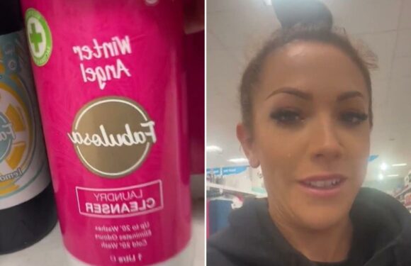 I went to Home Bargains to find the Snow Fairy dupe but ended up getting a whole lot more | The Sun