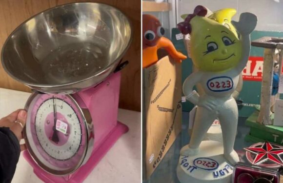 I went to a charity shop at the dump – there was loads of amazing bits and even glam jewellery too | The Sun