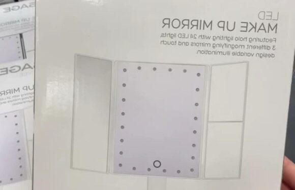 I work at Aldi & here are the goodies hitting our middle aisle this week, including last minute gifts for Mother's Day | The Sun