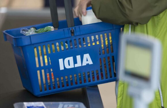 I’m Aldi obsessed and there are three things you need to race to pick up right now – they are life-changing | The Sun