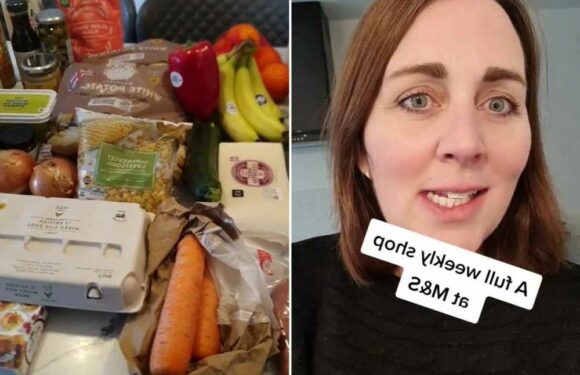 I’m a busy mum and did my weekly shop at M&S for the first time ever – here’s what I really thought of the prices | The Sun