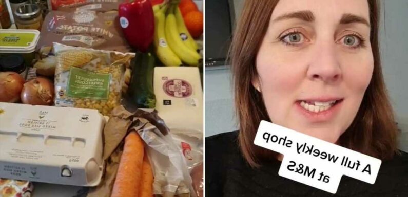 I’m a busy mum and did my weekly shop at M&S for the first time ever – here’s what I really thought of the prices | The Sun