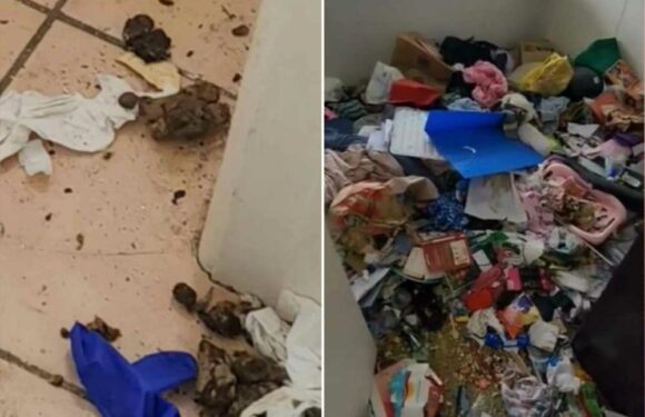 I’m a landlord – I was left with £16k bill after tenants left home full of maggots & poo, I can't rent it ever again | The Sun