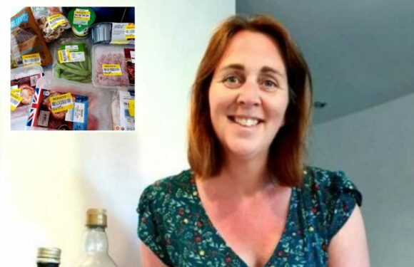 I’m a savvy mum and save £2.6K on food shopping by going at specific times and looking carefully – here's my tricks | The Sun