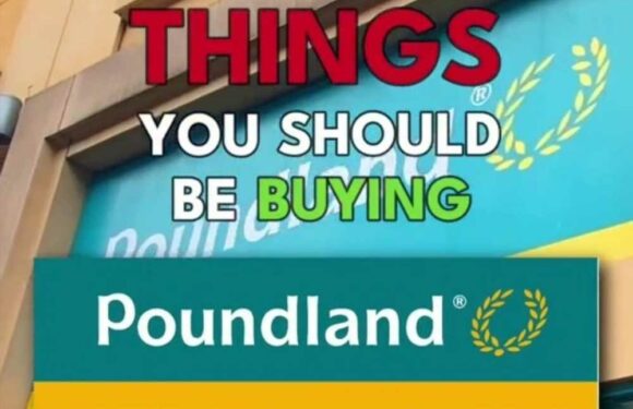 I’m a savvy shopper – 9 new items in Poundland you should buy now including a dupe that's 85% cheaper than anywhere else | The Sun